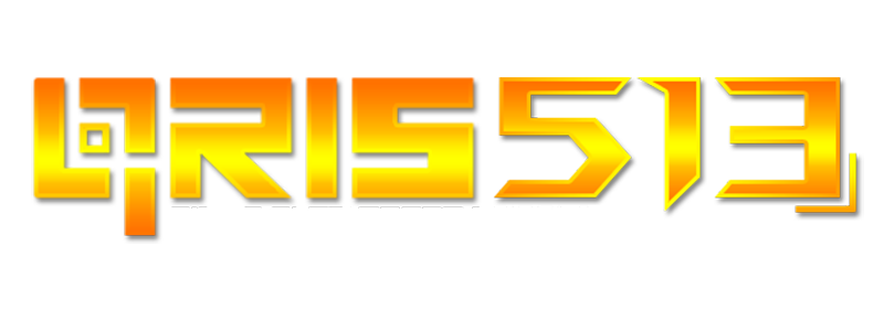 QRIS513